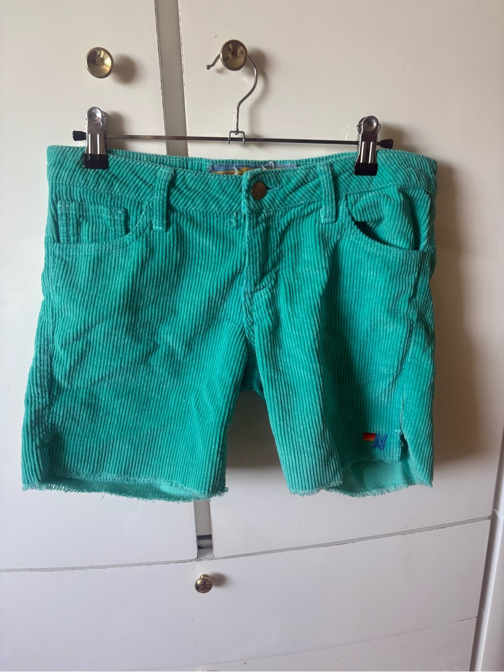 Aviator Nation Teal Corduroy Shorts
